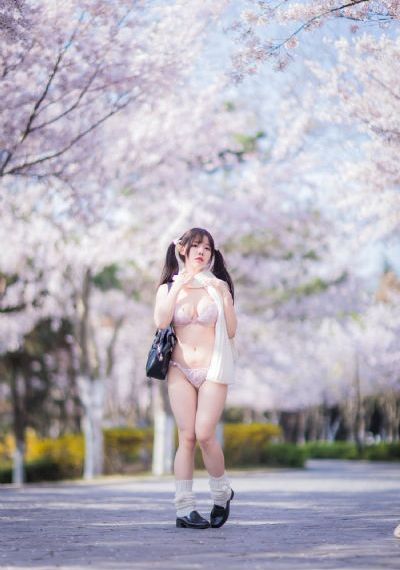 锦绣南歌免费观看全集