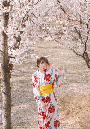 酒井法子电影