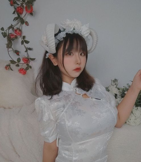 铁齿铜牙纪晓岚第五部