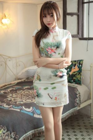 飞梦菲梦少女第二季免费观看