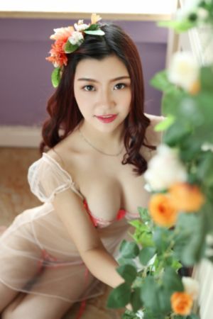 别打扰我学习