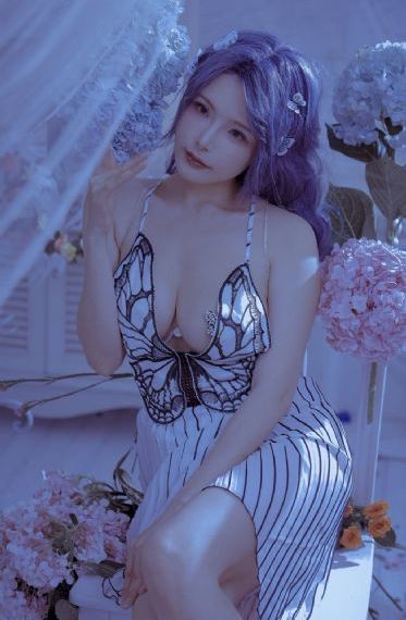海贼王z