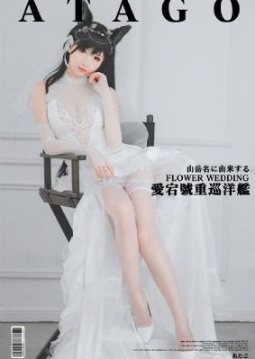 玫瑰之战电视剧免费全集剧情