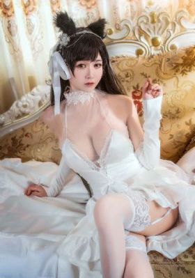 成全的视频高清在线观看免费